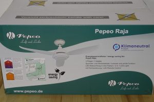 Pepeo energiesparender Deckenventilator Raja im Test