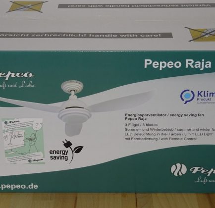 Pepeo energiesparender Deckenventilator Raja im Test